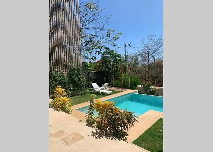 Ocean View In Tamarindo